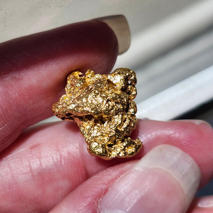 "Cavae" 9.46g California Gold Nugget | 23 kt
