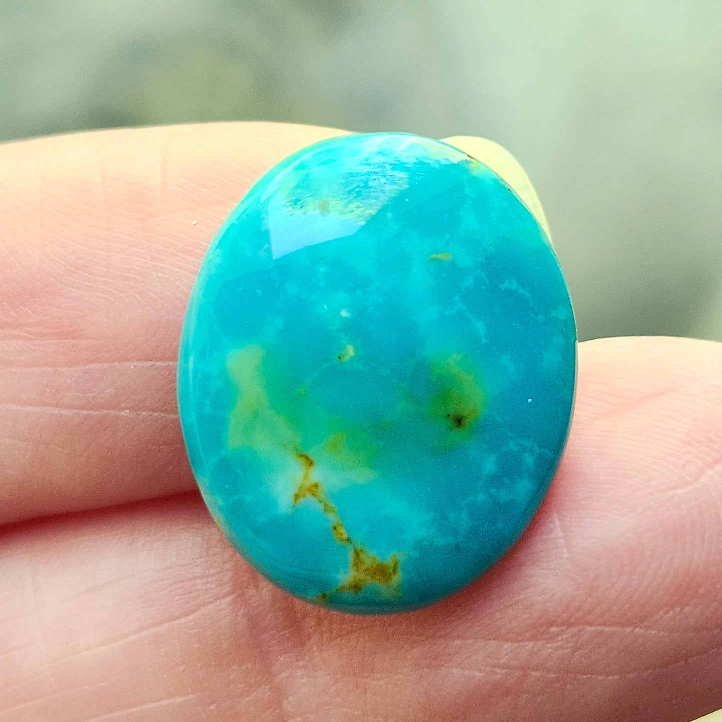 Turquoise #305 | Royston