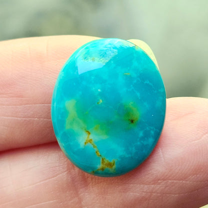Turquoise #305 | Royston