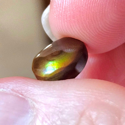 2.69ct Loose Fire Agate | Oval Cabochon