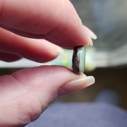 7.03ct Quilpie Boulder Opal | #E261D