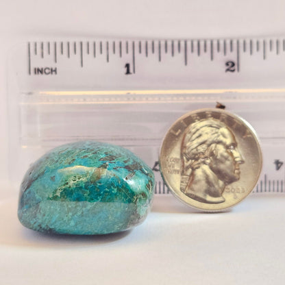Eilat Stone Cabochon #172 | Morenci