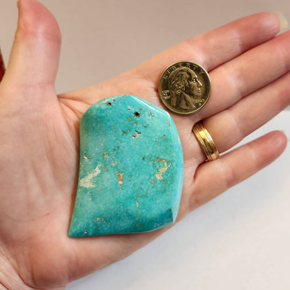 Turquoise #516 | Sleeping Beauty