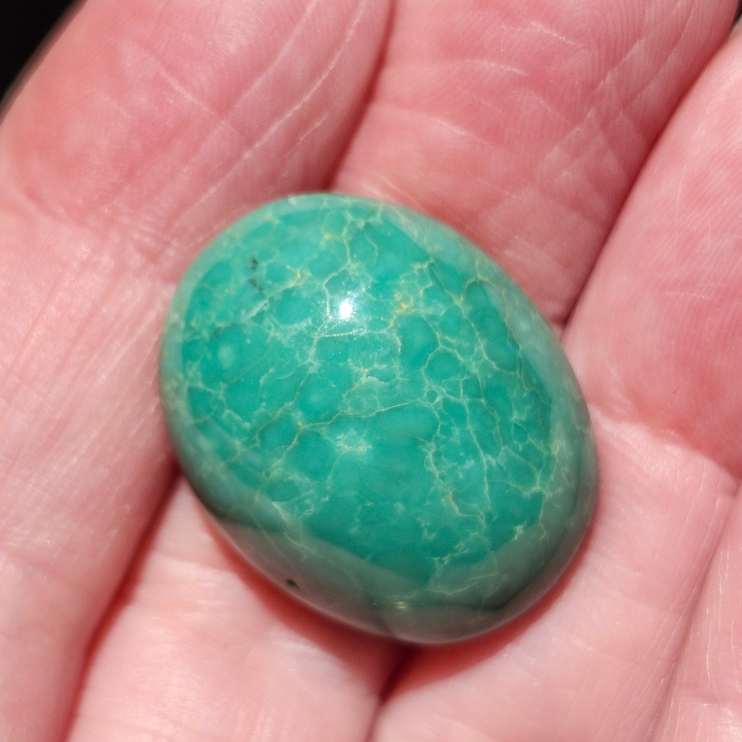 Turquoise #252 | Royston | Oval Cabochon Cut