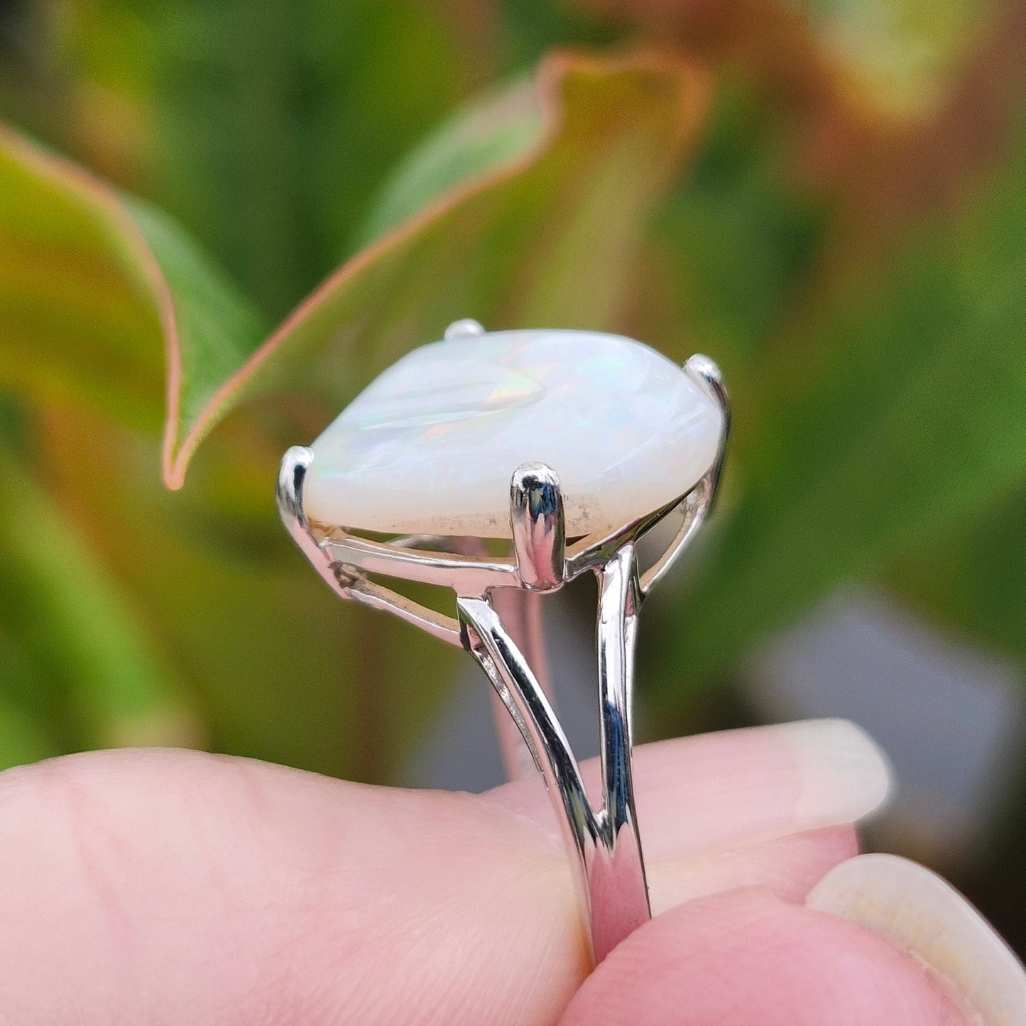 Kali | Ladies Australian White Crystal Opal Ring | Cushion Cut | 10kt White Gold