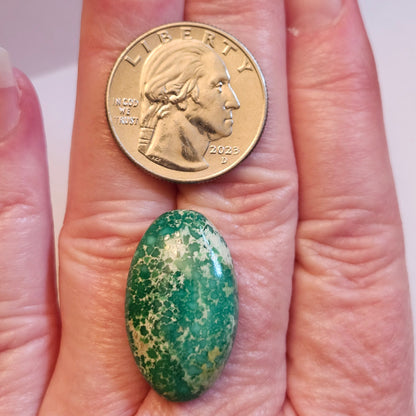 Turquoise #118 | Royston