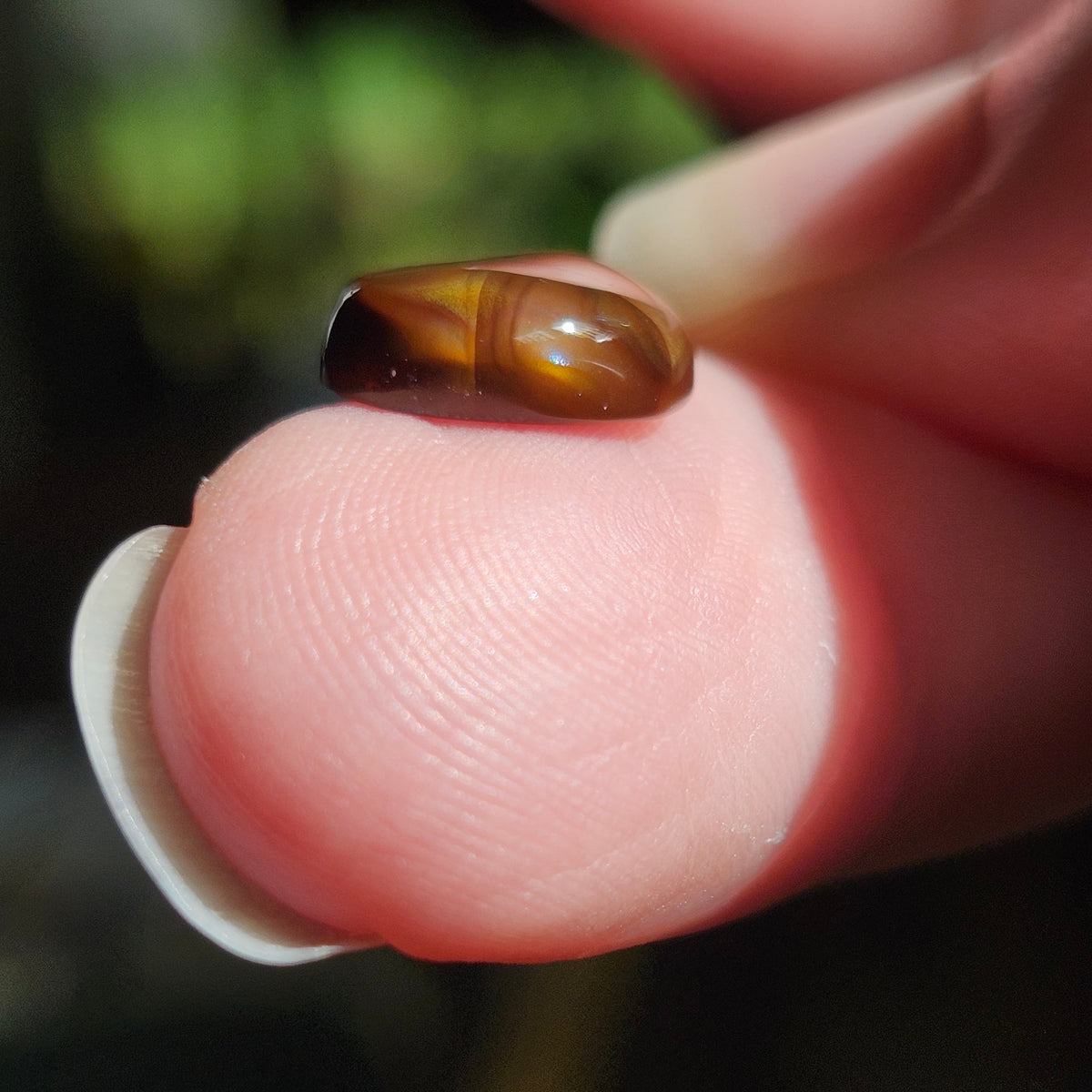 3.07ct Loose Fire Agate | Freeform Pear Cabochon