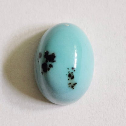 Turquoise #309 | Kingman