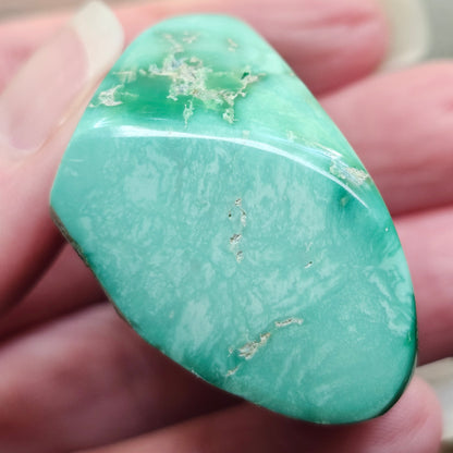 Utah Variscite #40 | Preformed Specimen