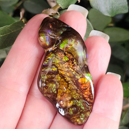 97.57ct Loose Mexican Fire Agate | Freeform Cabochon | #7