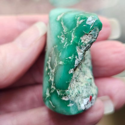 Utah Variscite #40 | Preformed Specimen