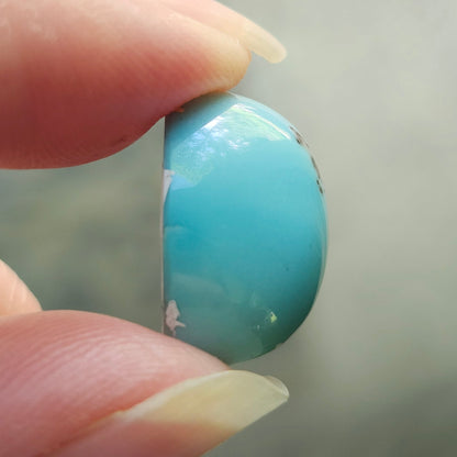 Turquoise #309 | Kingman