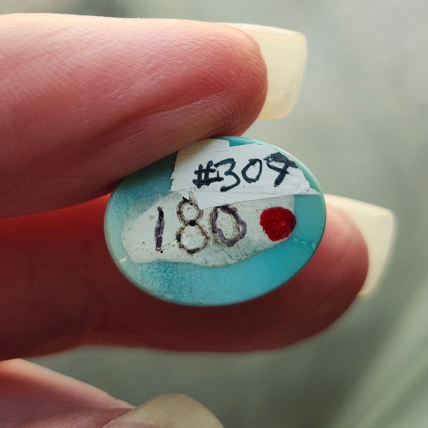 Turquoise #309 | Kingman