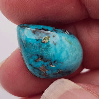 10.42ct Pilot Mountain Turquoise | Freeform Pear Cabochon | #526