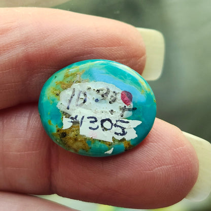 Turquoise #305 | Royston