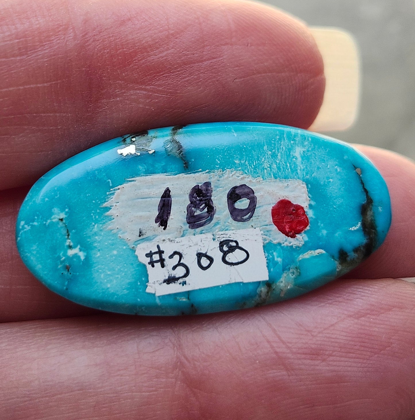 Turquoise #308 | Bisbee