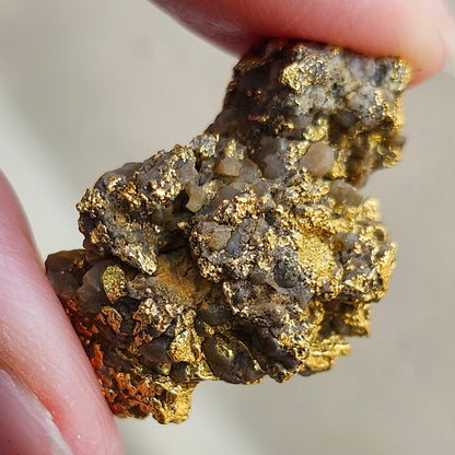 "Medius" | California Gold Nugget Specimen in Quartz | 12.52 grams