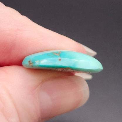 11.66ct Pilot Mountain Turquoise | Oval Cabochon | #522