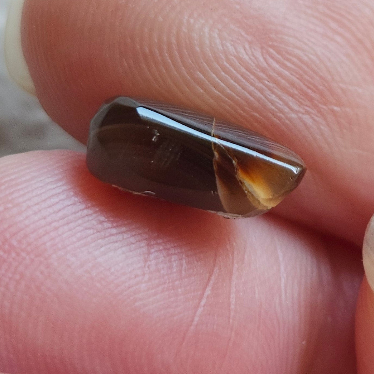 3.33ct Loose Fire Agate | Freeform Pear Cabochon
