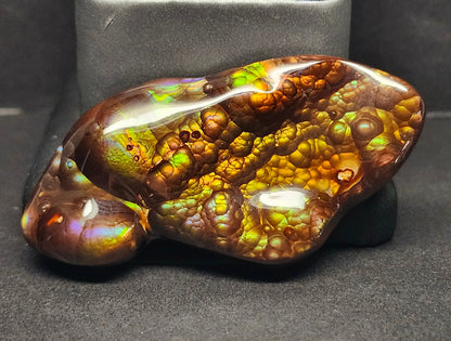 97.57ct Loose Mexican Fire Agate | Freeform Cabochon | #7