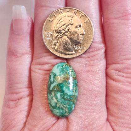 Turquoise #187 | Royston | Oval Cabochon Cut