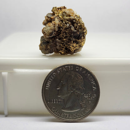 "Quarzum" | California Gold Nugget Specimen on Quartz | 11.60 grams