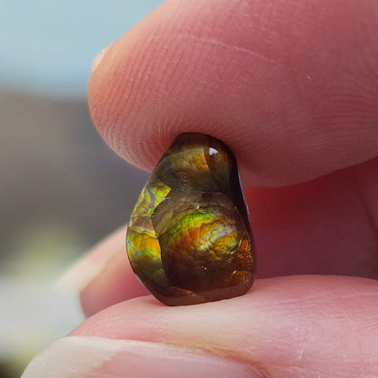 2.87ct Loose Fire Agate | Freeform Cabochon