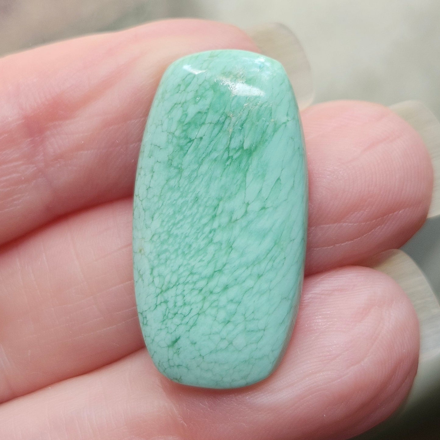 Variscite Cabochon #237 | Utah | Cushion Cut