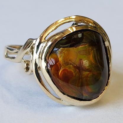 Ladies' Freeform Fire Agate Ring | 14kt