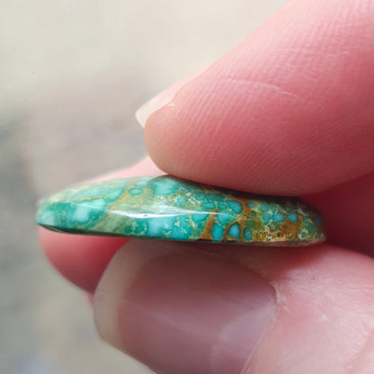 Turquoise #187 | Royston | Oval Cabochon Cut