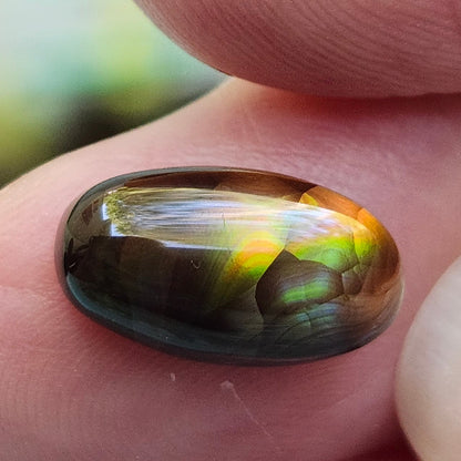 3.87ct Loose Fire Agate | Oval Cabochon