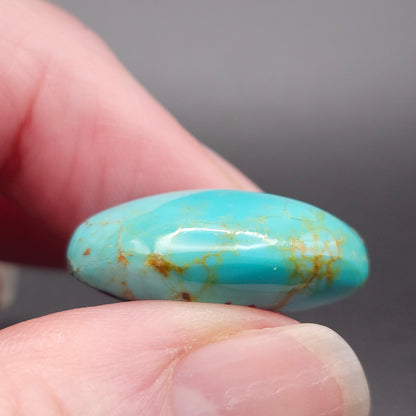 20.98ct Pilot Mountain Turquoise | Oval Cabochon | #518