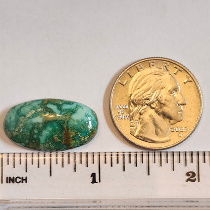 Turquoise #187 | Royston | Oval Cabochon Cut
