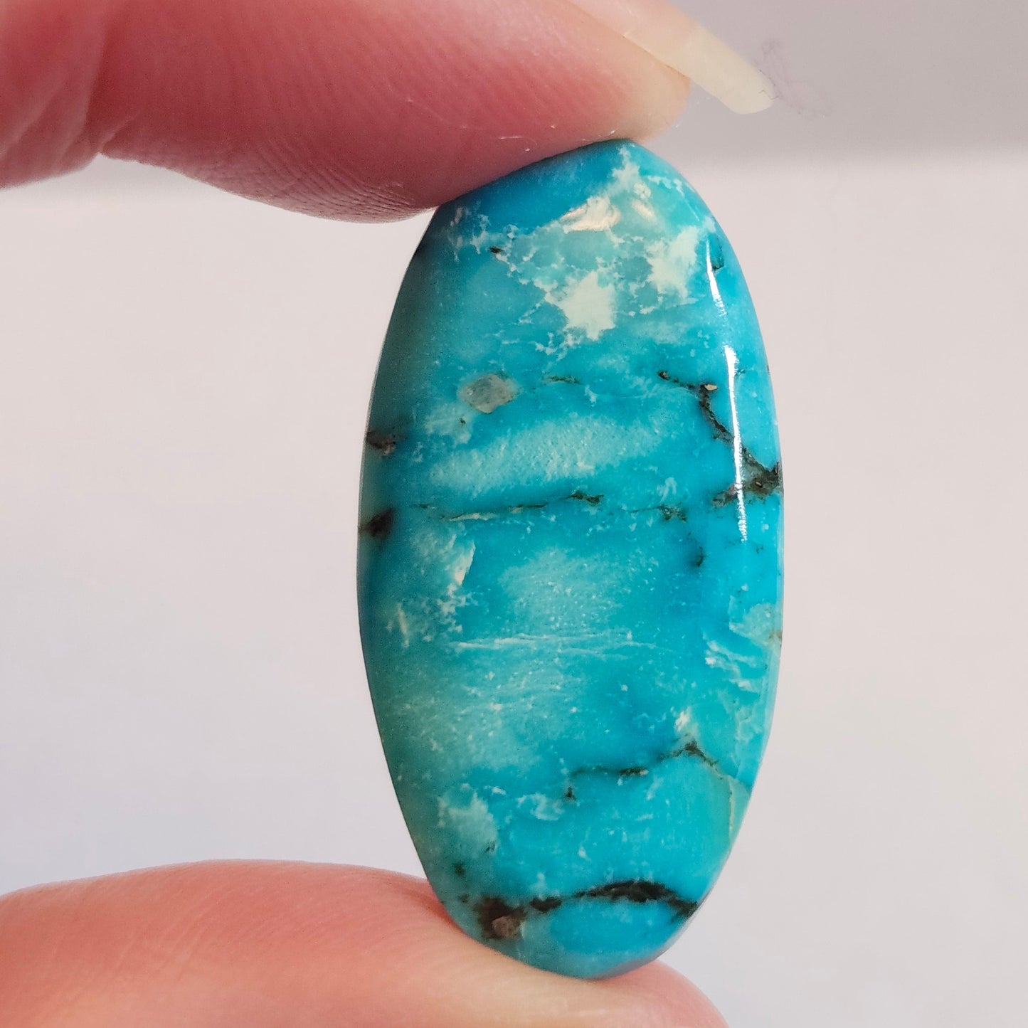 Turquoise #308 | Bisbee