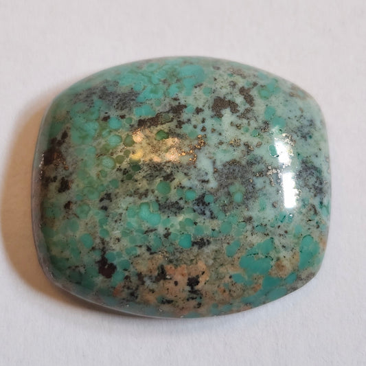 Turquoise #258 | Monte Cristo | Pilot Mountain | Cushion Cut Cabochon