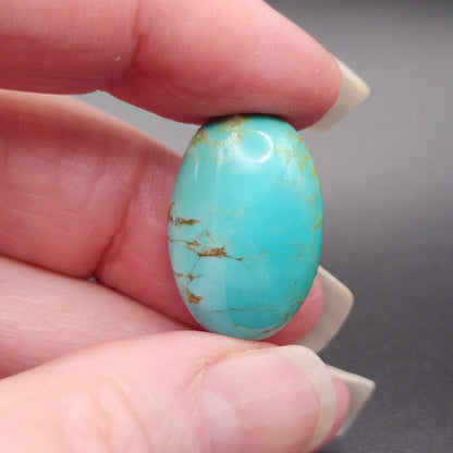 20.98ct Pilot Mountain Turquoise | Oval Cabochon | #518