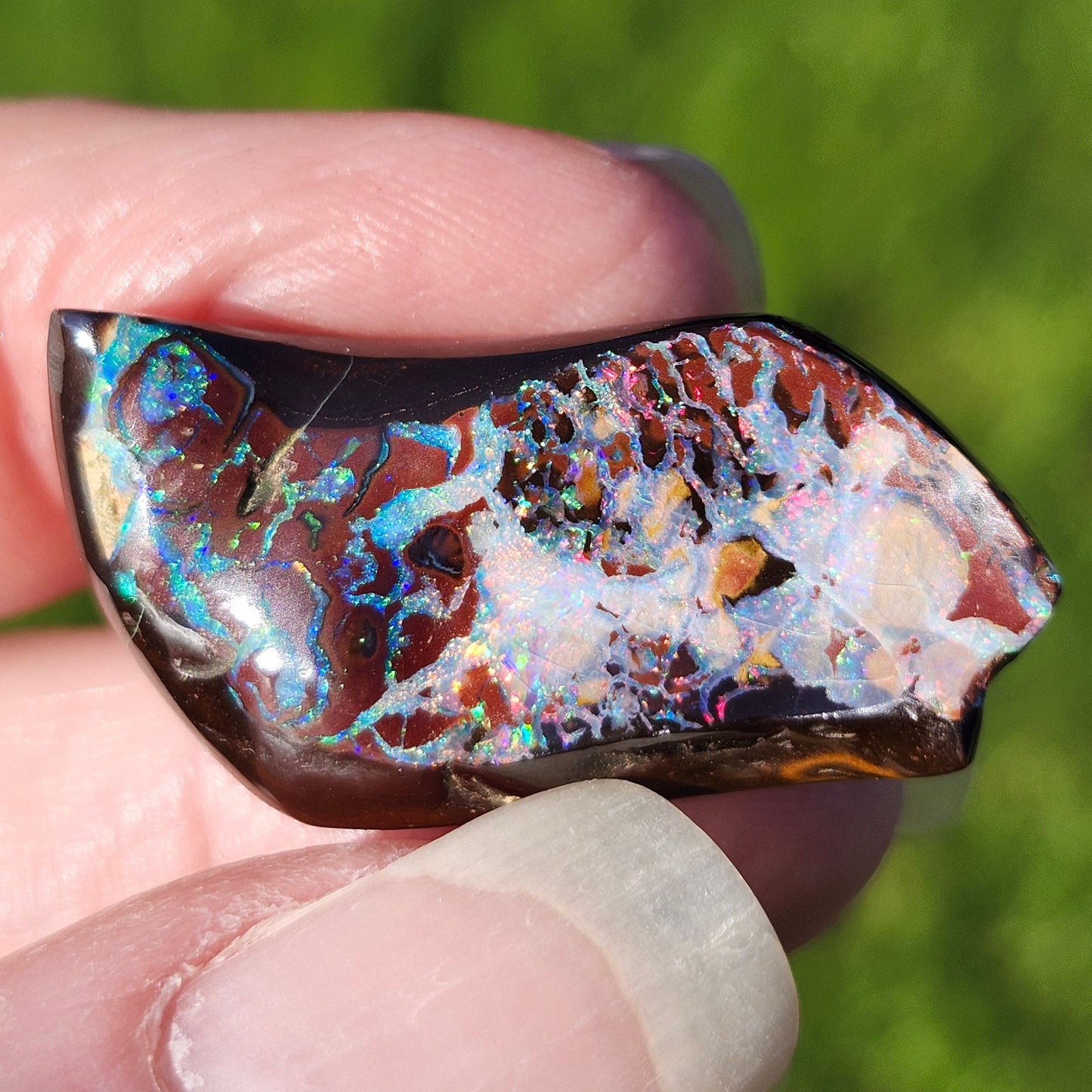 30.85ct Koroit Australian Boulder Opal | #E275