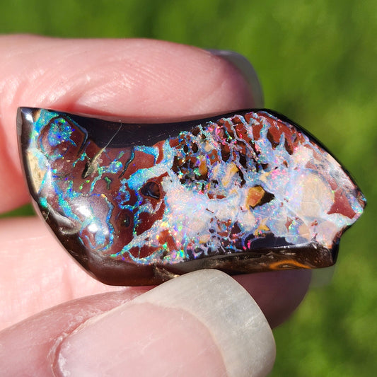 30.85ct Koroit Australian Boulder Opal | #E275