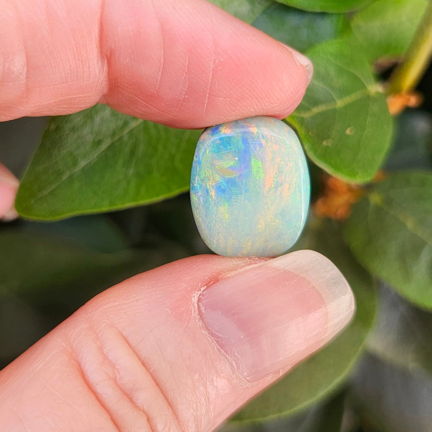10.28ct Quilpie Boulder Opal | #E254