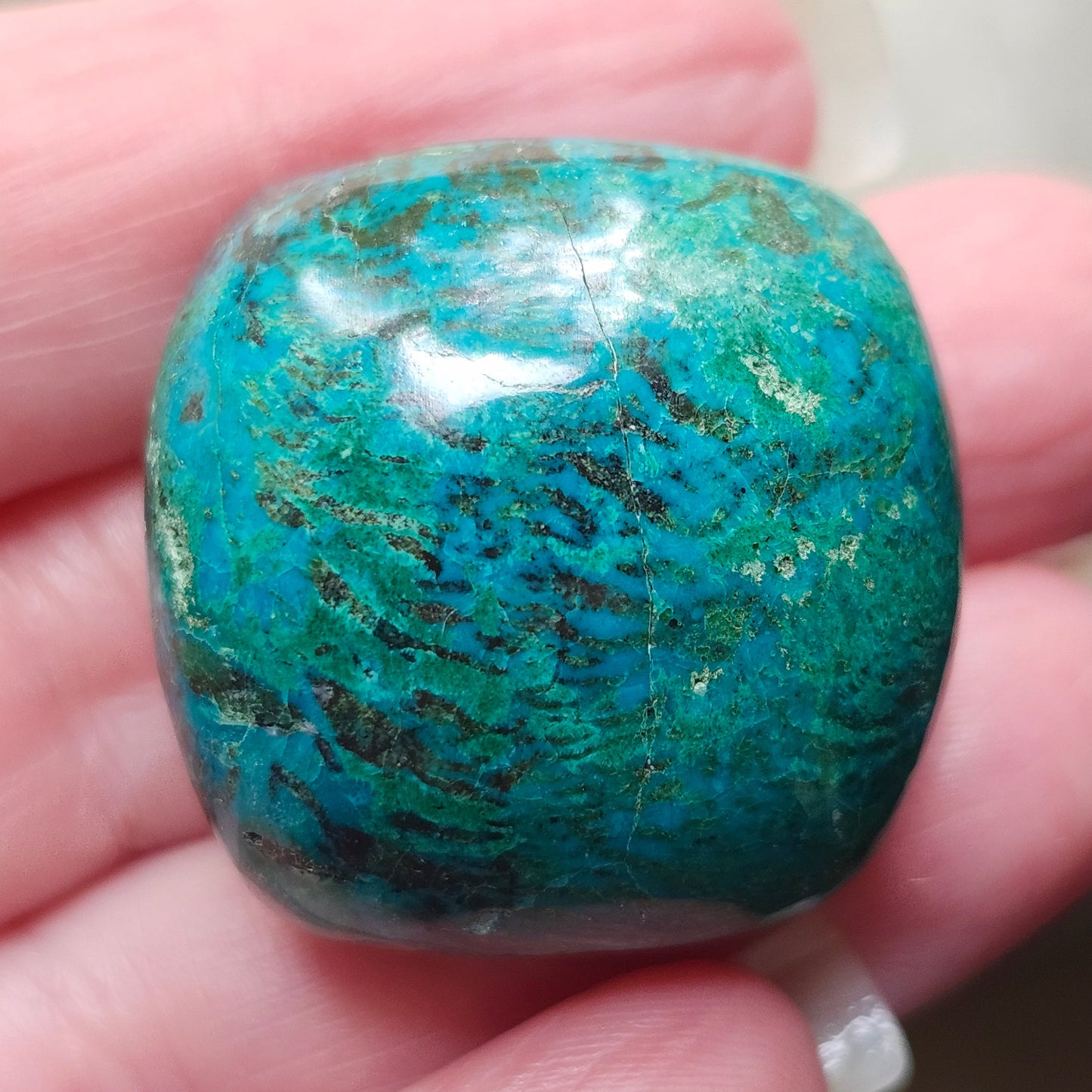 Eilat Stone Cabochon #172 | Morenci