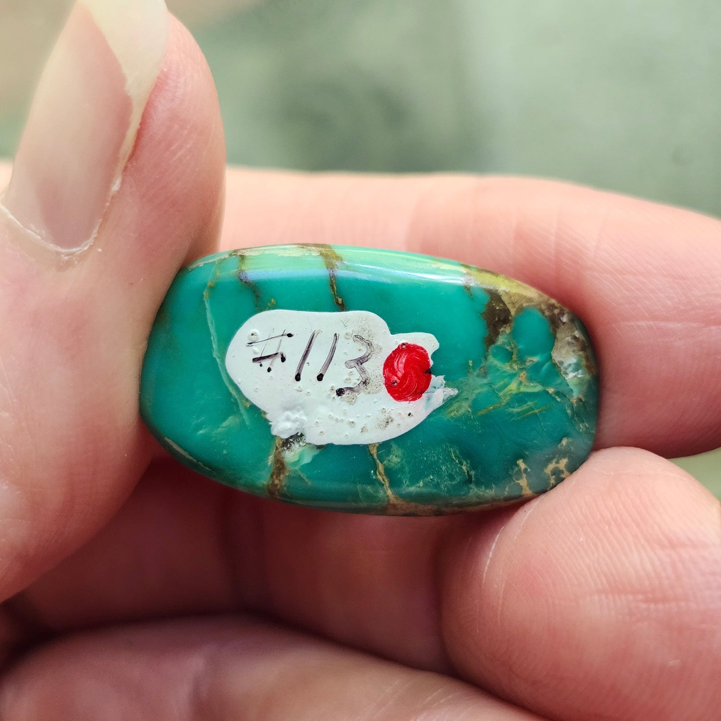 Turquoise #113 | Royston