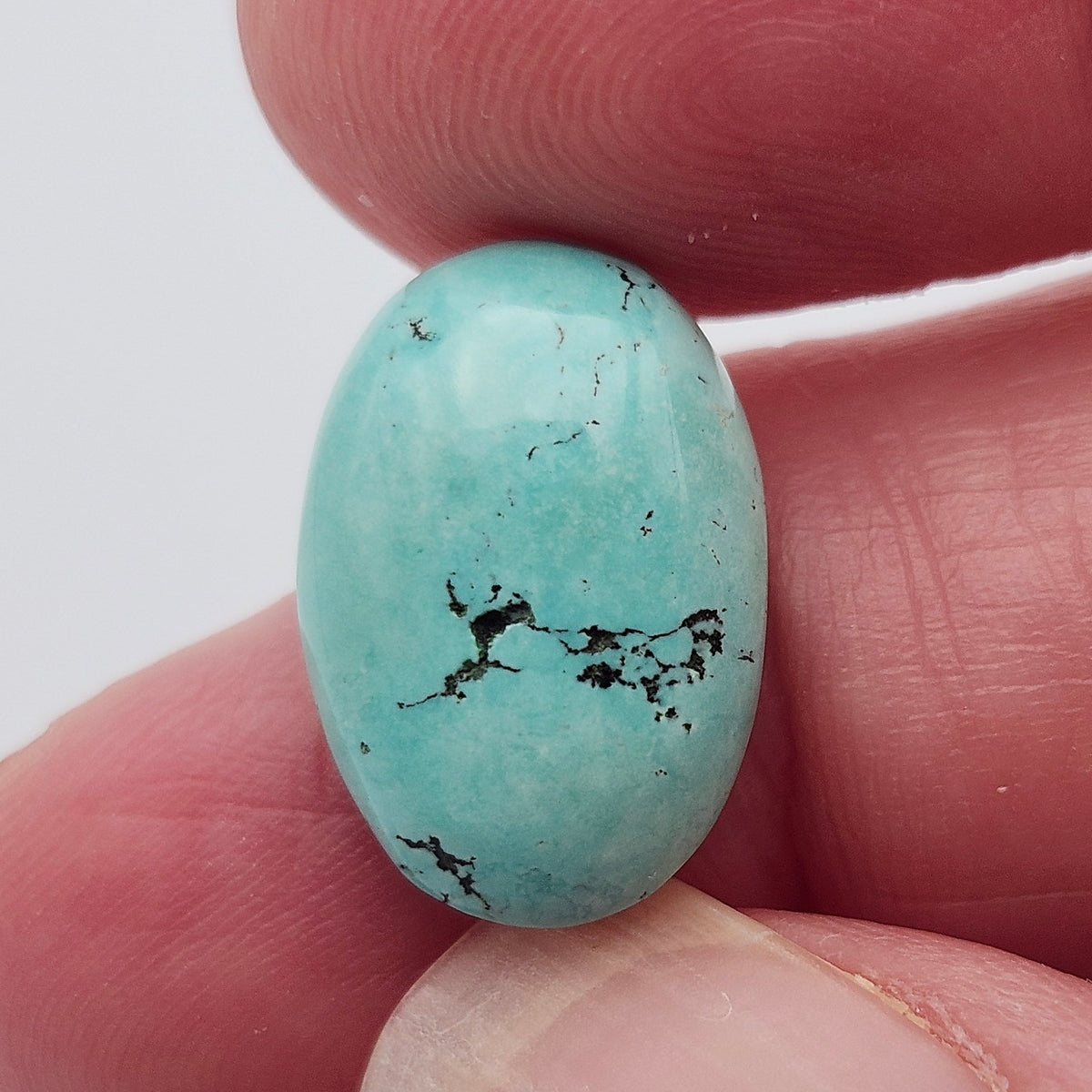 5.70ct Pilot Mountain Turquoise | Oval Cabochon | #527