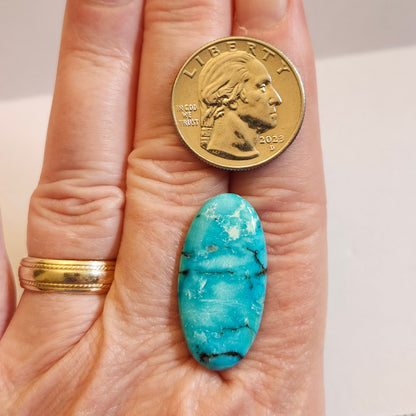 Turquoise #308 | Bisbee