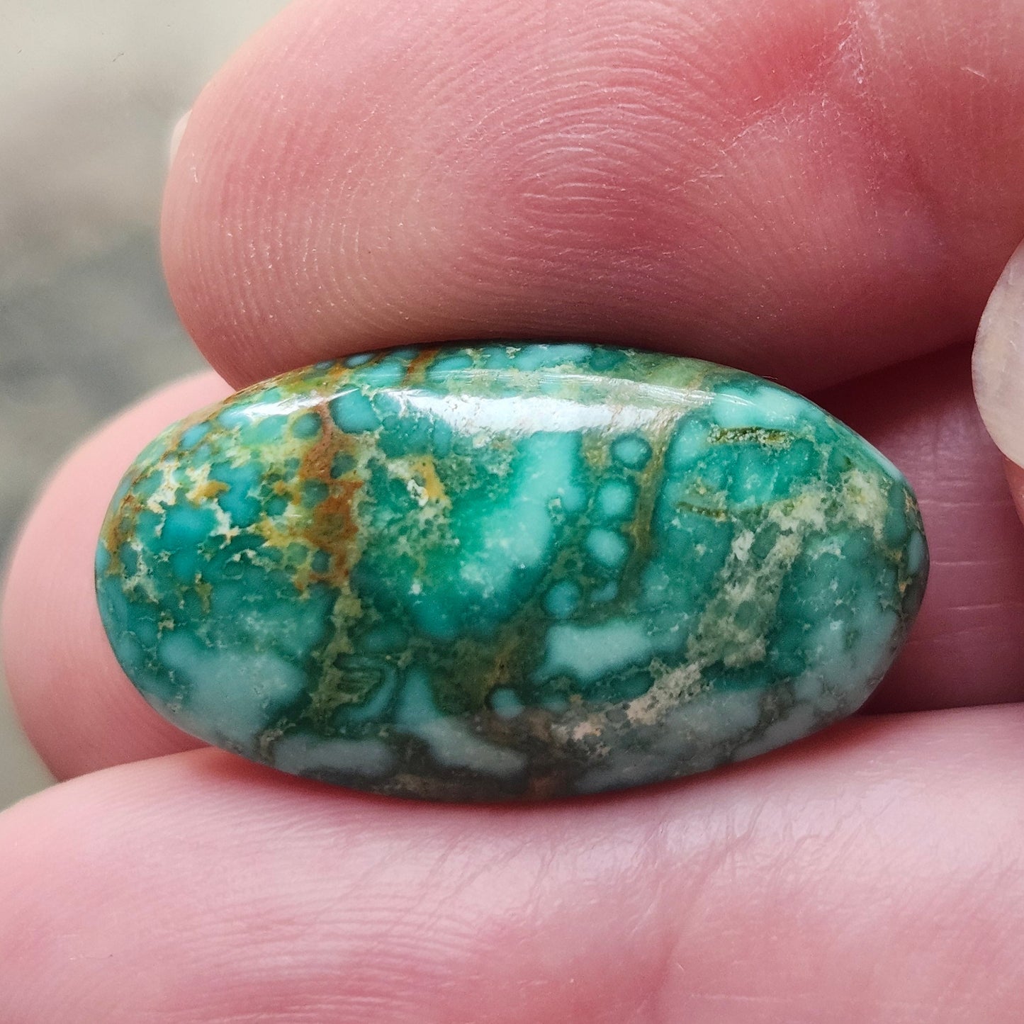 Turquoise #187 | Royston | Oval Cabochon Cut