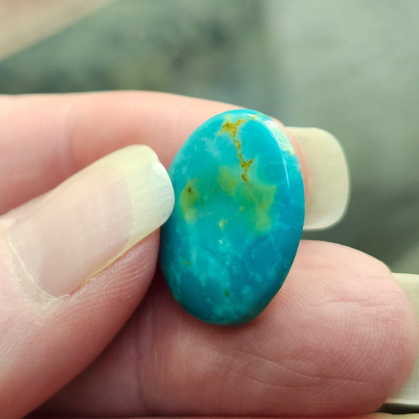 Turquoise #305 | Royston