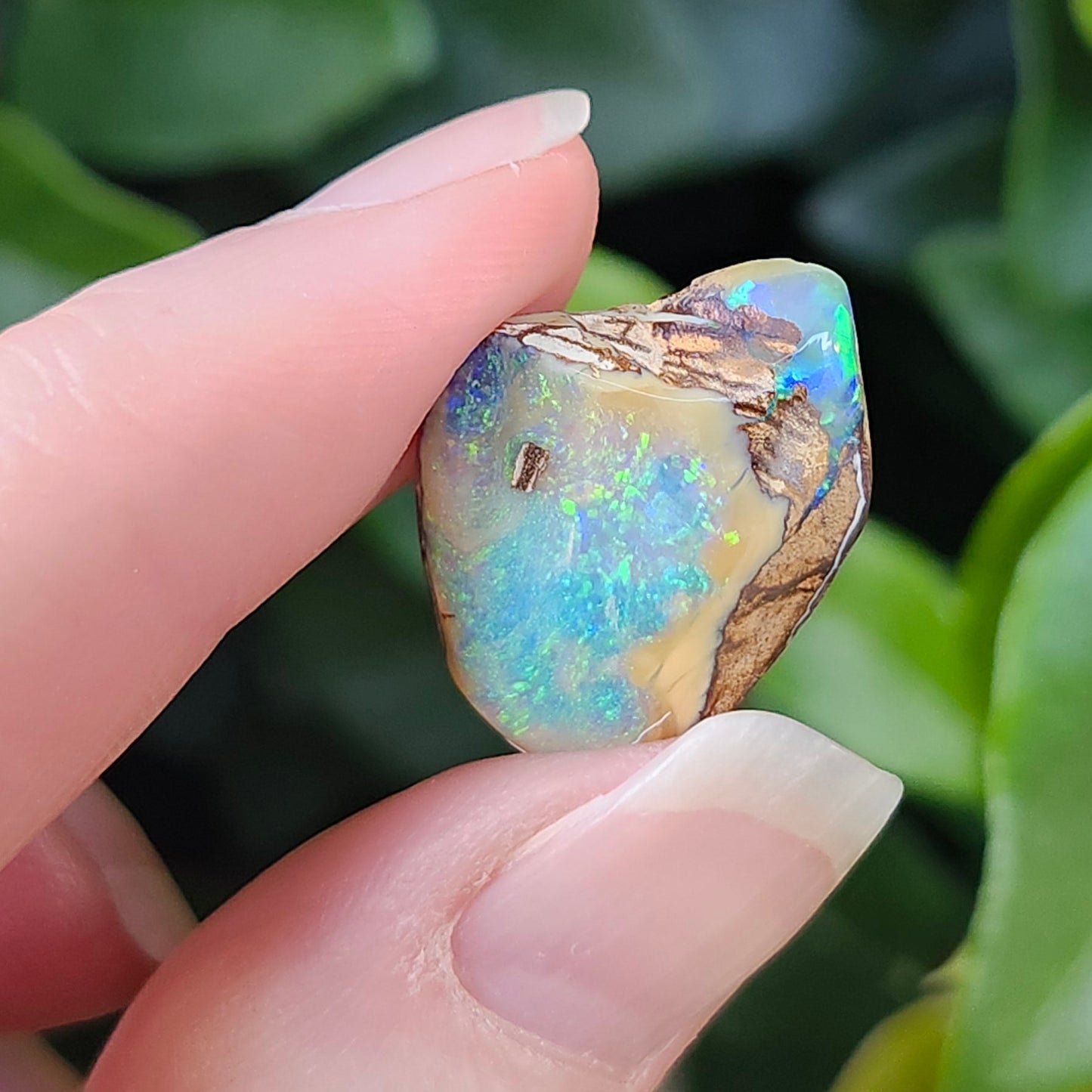 9.24ct Koroit Boulder Matrix Opal | #E261