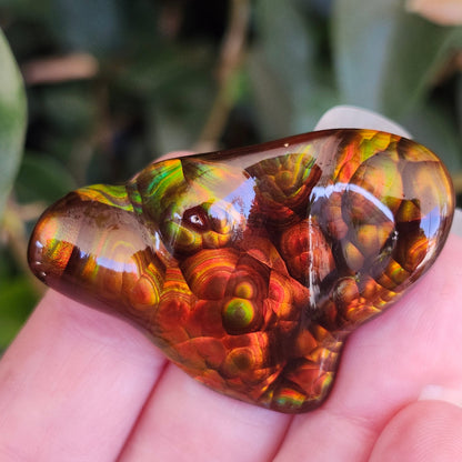 52.20ct Loose Slaughter Mountain Fire Agate | Freeform Cabochon | #8
