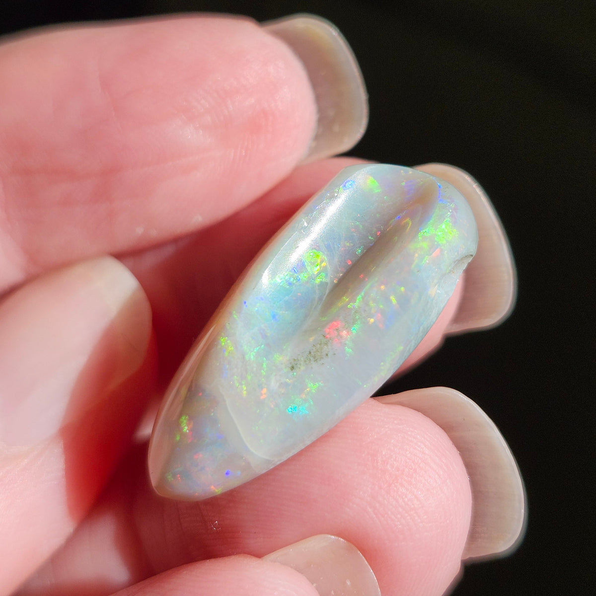 14.44ct Lightning Ridge Semi-Black Australian Opalized Fossil Shell | Freeform Pear | #E289