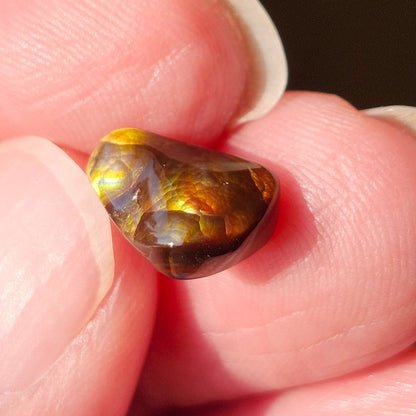 2.87ct Loose Fire Agate | Freeform Cabochon