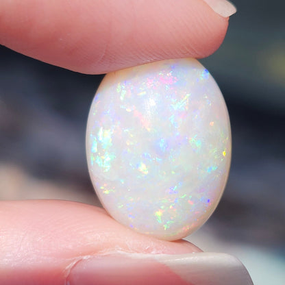 11.40ct Coober Pedy Australian Opal | #E266